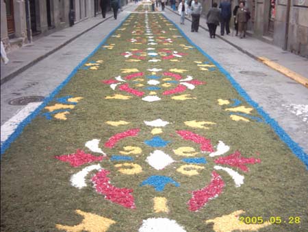 Calle Emilia Pardo bazan 1