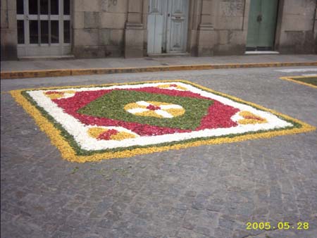 Calle Emilia Pardo bazan 3