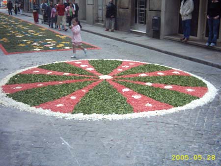 Roseton encarnacion 2