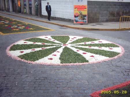 roseton encarnacion 1