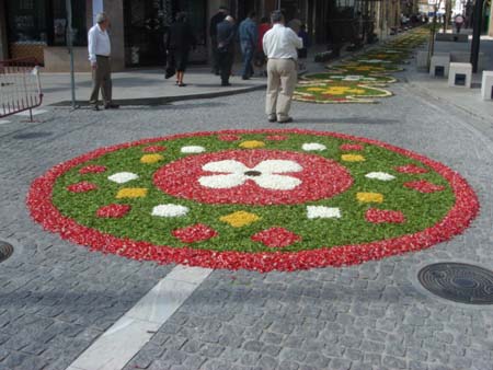 Roseton Calle Emilia#1527E4