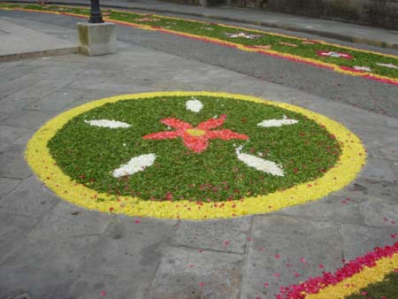 Roseton Calle Fernan#1527F4